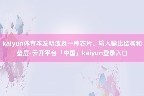 kaiyun体育本发明波及一种芯片、输入输出结构和垫层-云开平台「中国」kaiyun登录入口
